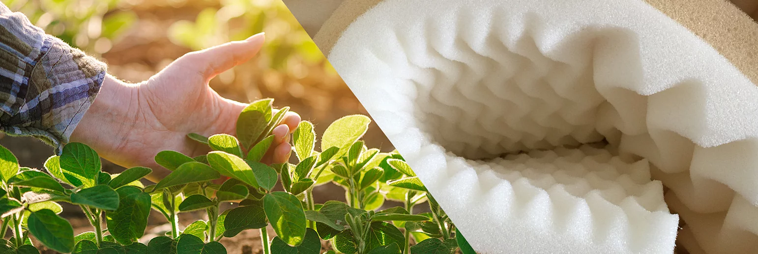 Polyols from renewable raw materials: powerful and environmentally friendly 