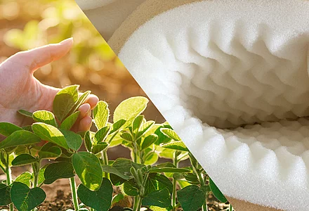 Polyols from renewable raw materials: powerful and environmentally friendly 