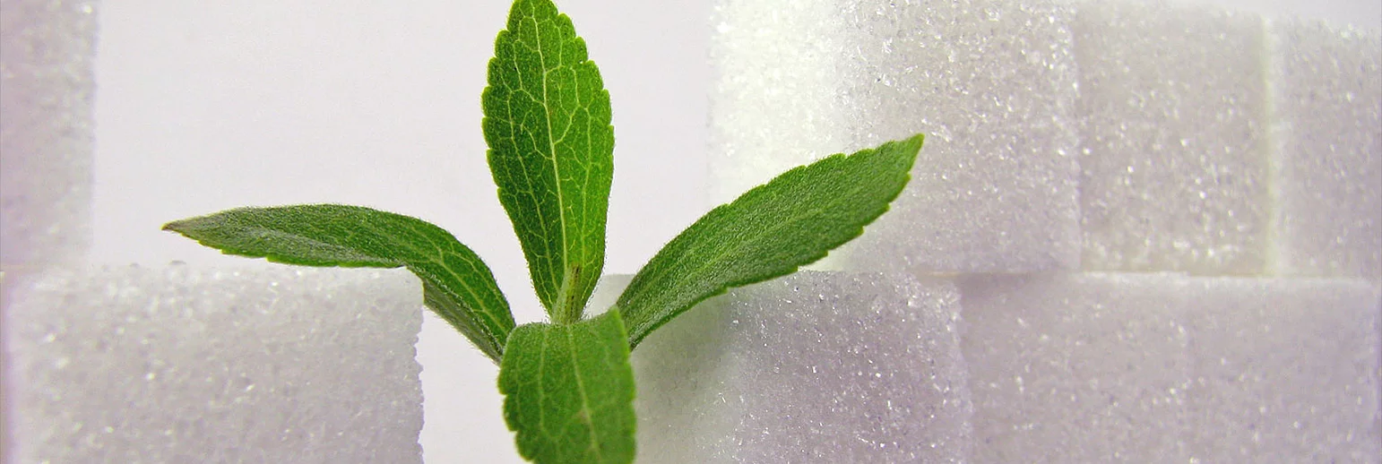 Expanded range: Latest generation stevia products  