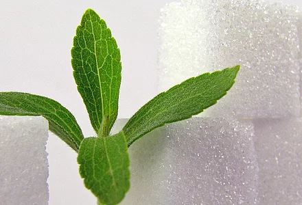 Expanded range: Latest generation stevia products  