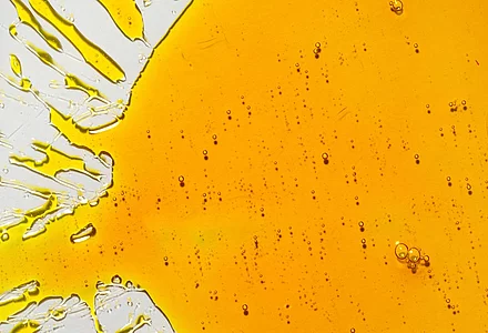 Lecithin: Ein vielseitiger natürlicher Inhaltsstoff 