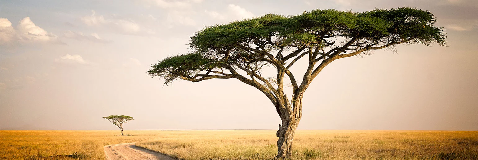 Nexira - Innovation inspired by Nature 