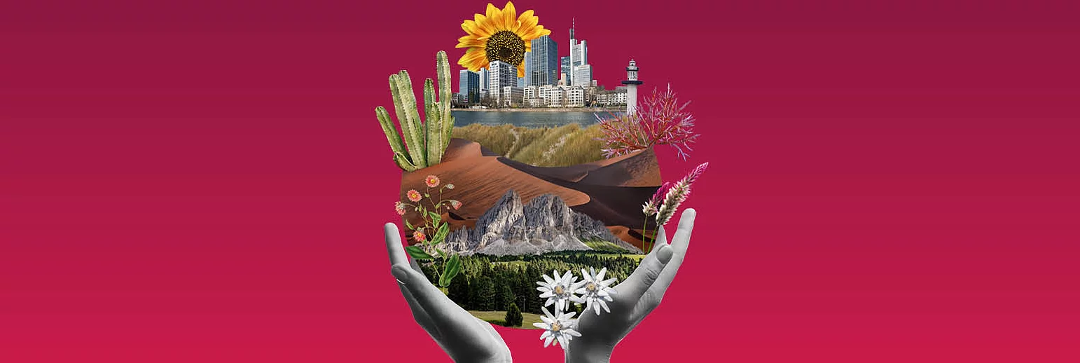 Global Beauty: A climate-resilient approach 