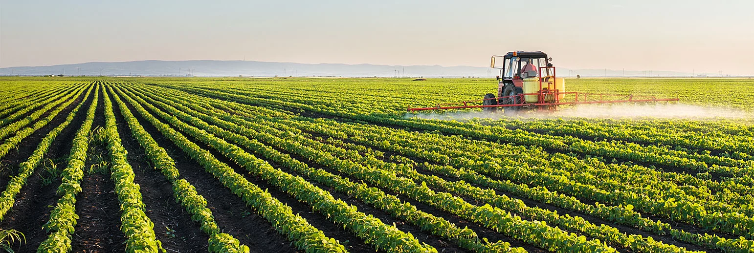 Certasure – safety in colouring foodstuffs and natural food colours 