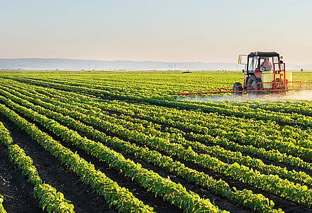 Certasure – safety in colouring foodstuffs and natural food colours 