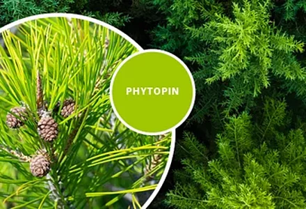 PHYTOPIN: Fitoesteroles de pino 