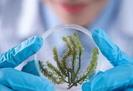 Focus on our biotech actives! 