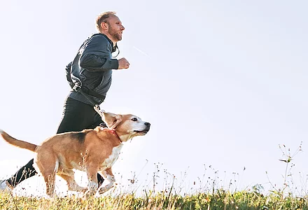 La longévité et un mode de vie actif sont liés à un bon état de santé général, notamment ceux des os et des articulations. 