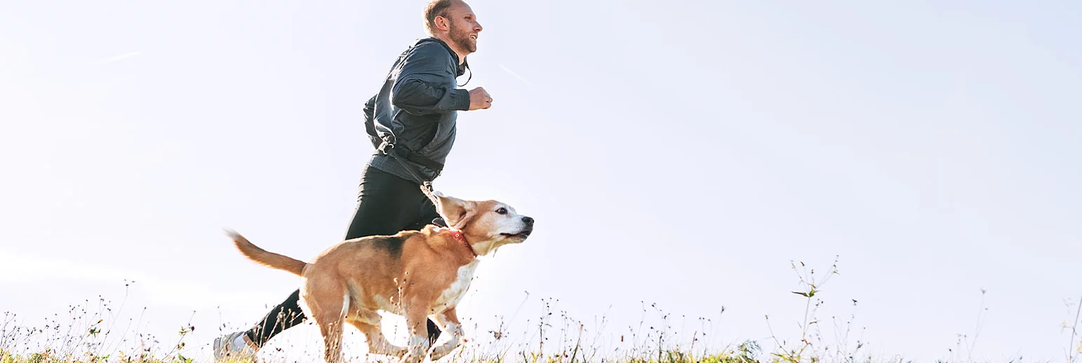 La longévité et un mode de vie actif sont liés à un bon état de santé général, notamment ceux des os et des articulations. 
