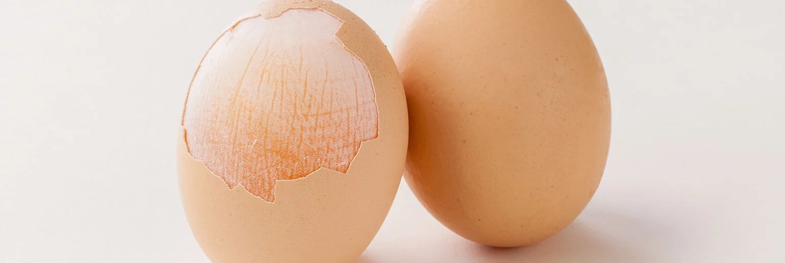 MKARE® - wyjątkowe źródło kluczowych składników bioaktywnych 