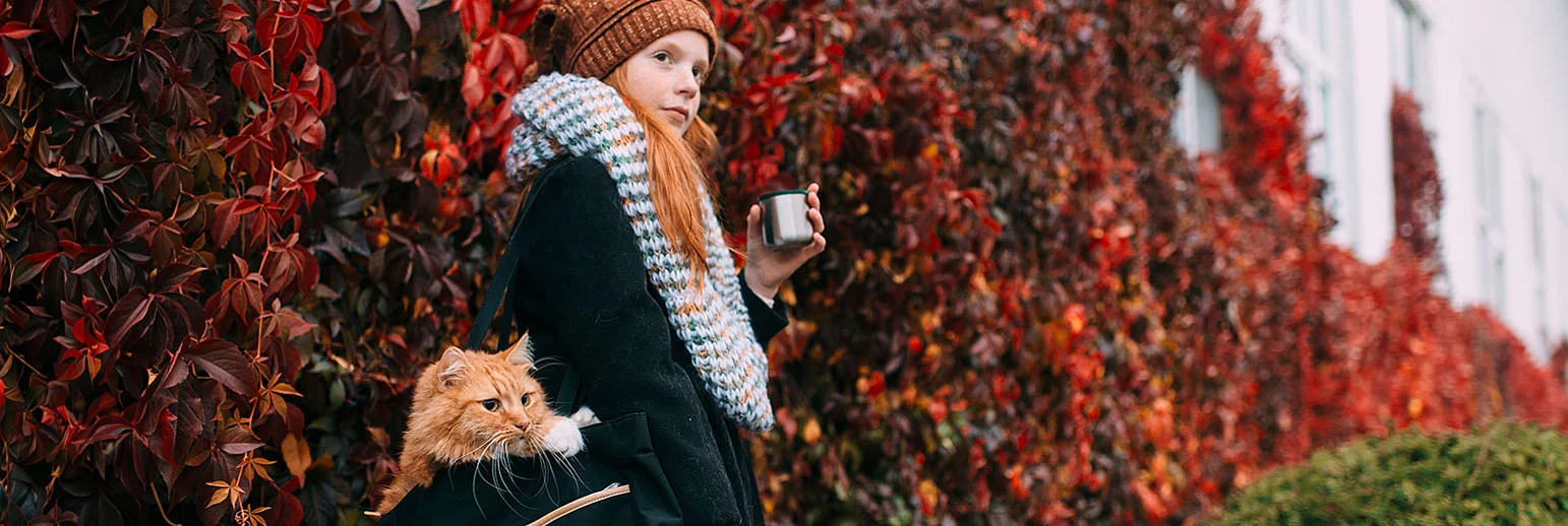 De compléments à produits… essentiels : le rôle croissant des nutraceutiques dans l'immunité 