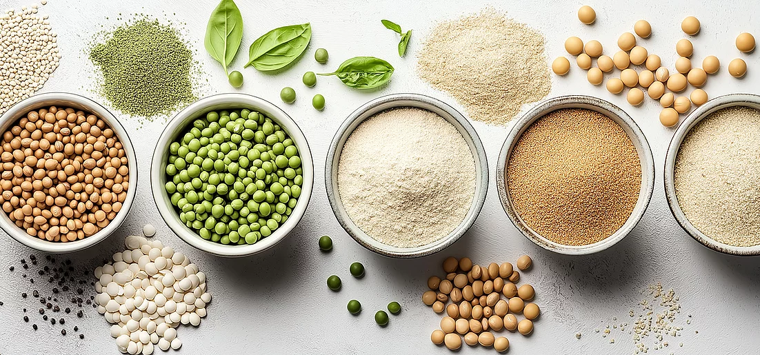 Plant proteins in focus – applications, properties and suitable solutions from our portfolio