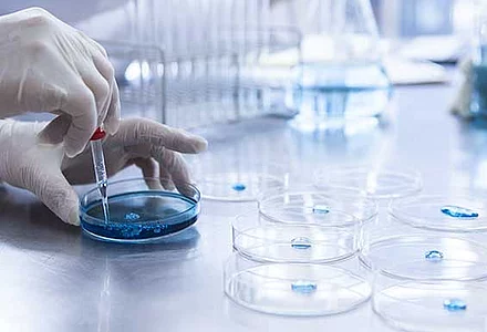 Preventol DP 18 – Konservierungen ohne Isothiazolinone 