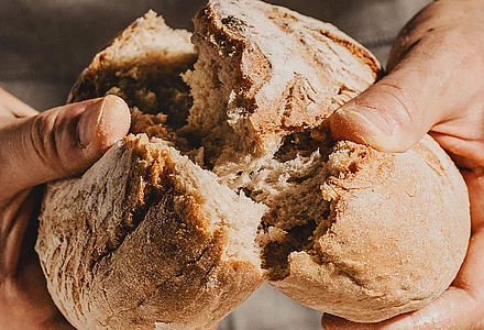 From conventional to Bio Bud: starches and pre-gelatinized starches and flours 