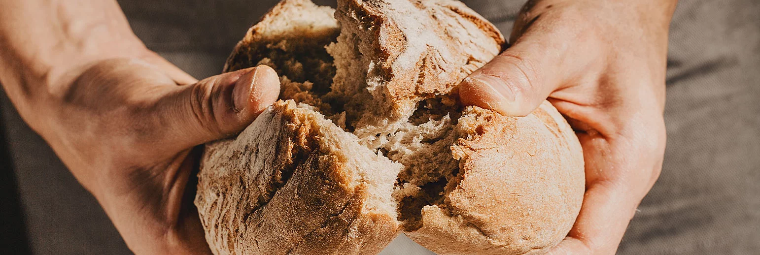 From conventional to Bio Bud: starches and pre-gelatinized starches and flours 