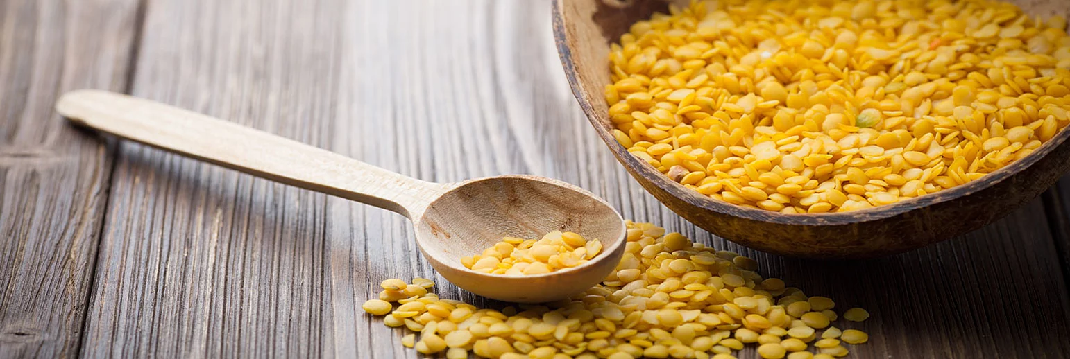 Pea protein isolate – Vegetable protein with versatile applications 