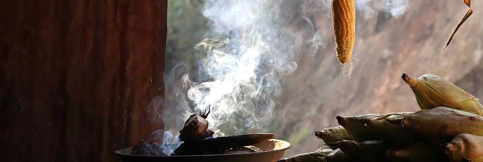 ​Smoke flavour with aromas and extracts: quick, easy and cost-efficient 