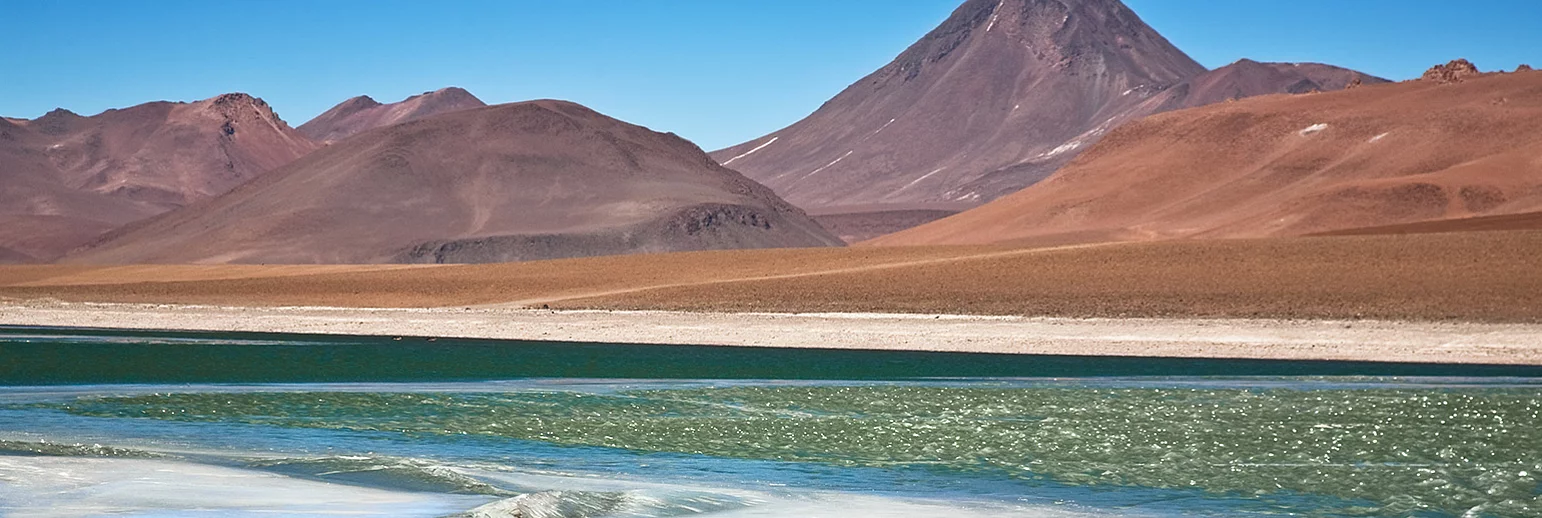 Saltwell – less sodium, all natural  