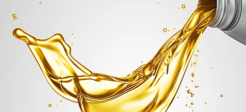 Antioxidants from Rianlon