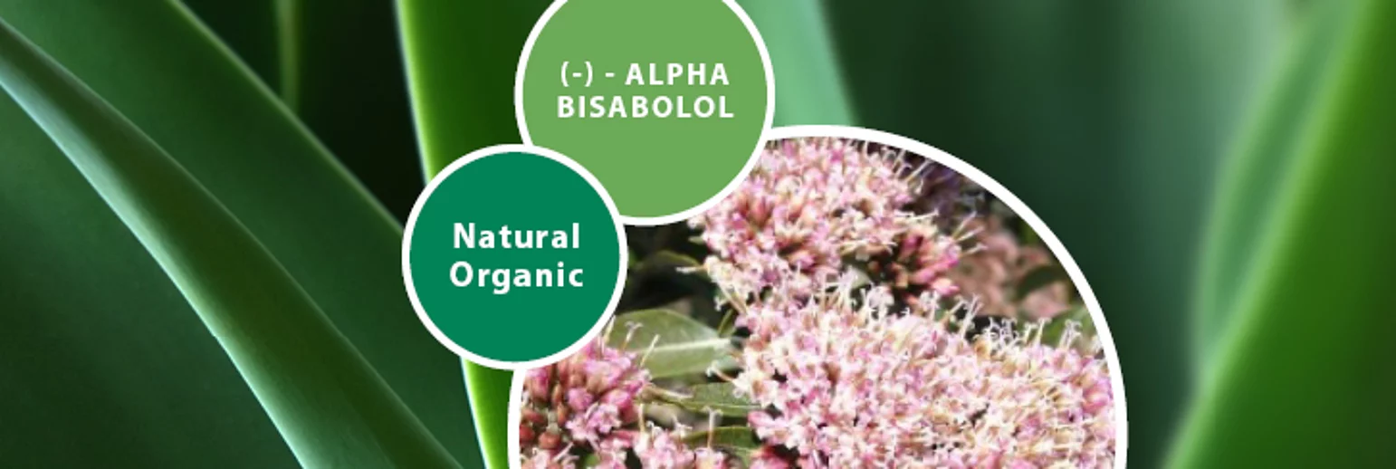 (-)-ALPHA BISABOLOL NATURAL ORGANIC: Certificado Bio 