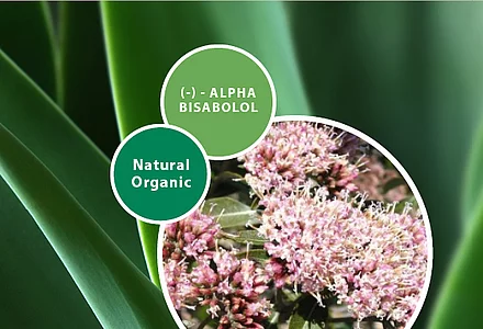(-)-ALPHA BISABOLOL NATURAL ORGANIC: Certificado Bio 