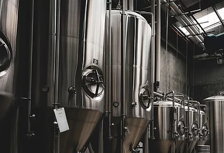 Food enzymes for the Food Industry  