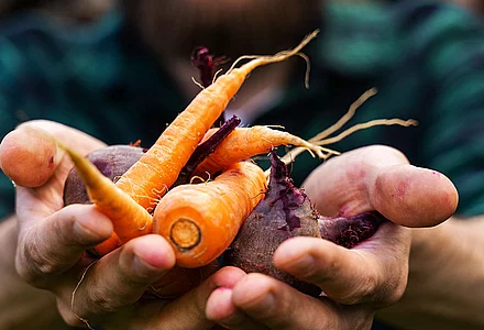 Colouring foodstuff in organic quality 