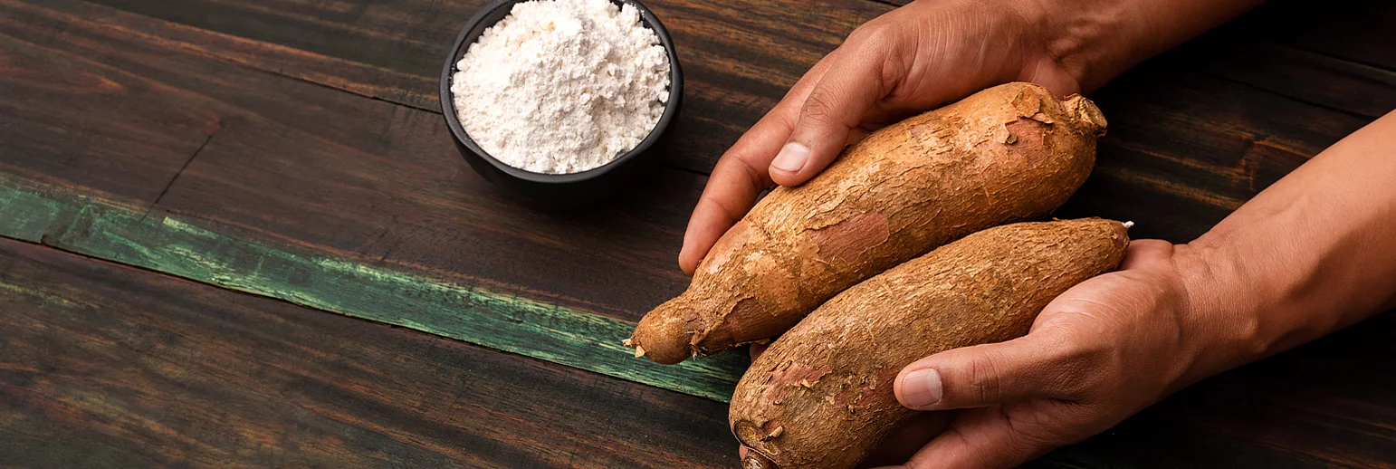 Tapioca starches in food production 