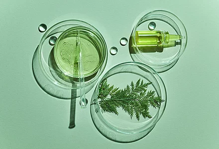 Eco-design in the beauty industry 