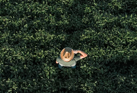 Sojabasierte Rohstoffe in chemischen Produkten und die EU-Entwaldungsverordnung (EUDR) 