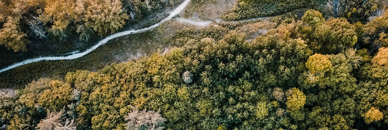 The effects of the «Regulation on Deforestation-free products» (EUDR) 