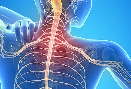 Palmitoylethanolamide (PEA) – A Pure and micronized product with a high bioavailability  