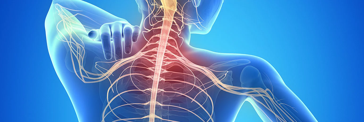 Palmitoylethanolamide (PEA) – A Pure and micronized product with a high bioavailability  