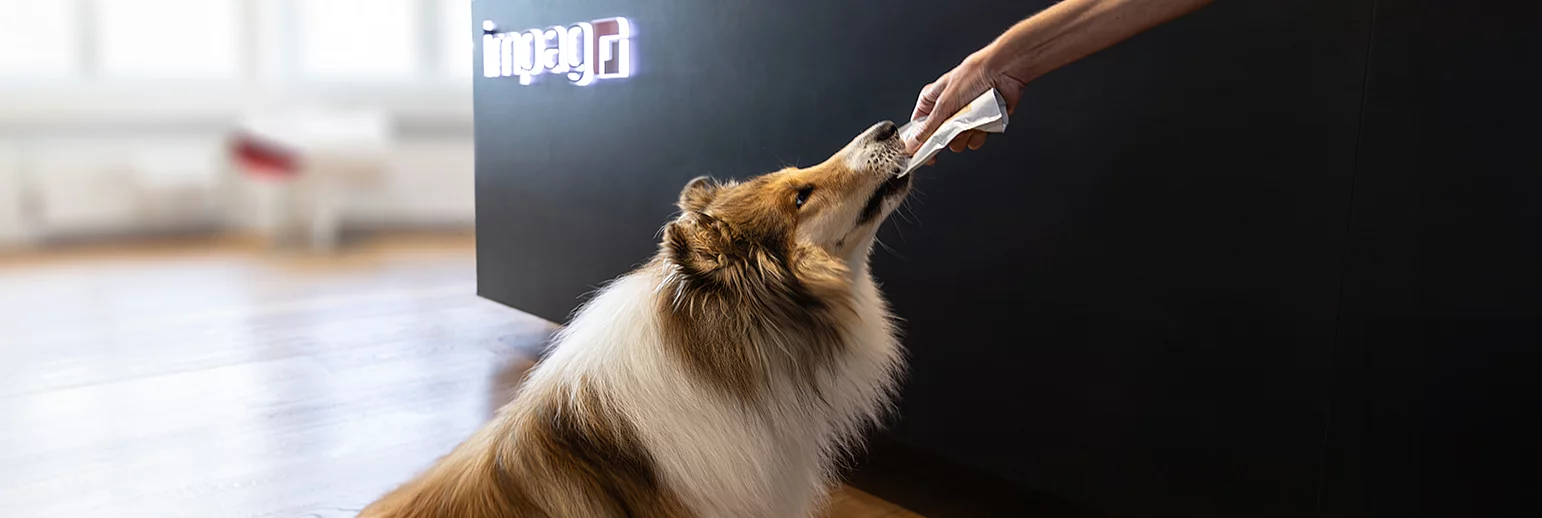 Le domaine de la santé pour les humains et les animaux - des opportunités dans un marché en croissance 