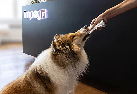 Le domaine de la santé pour les humains et les animaux - des opportunités dans un marché en croissance 