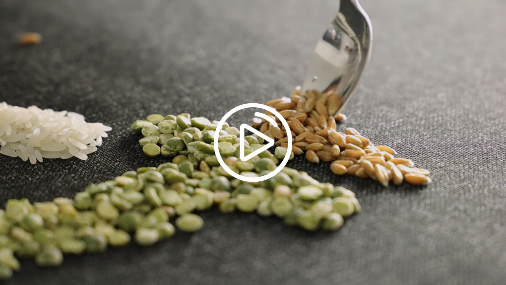 The many strengths of food starches