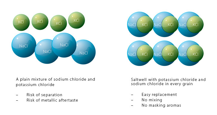 Saltwell salt compared to ordinary salt